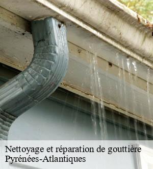 Nettoyage et réparation de gouttière