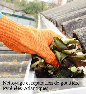 Nettoyage et réparation de gouttière