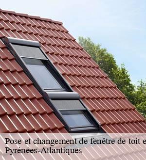 Pose et changement de fenêtre de toit et Velux