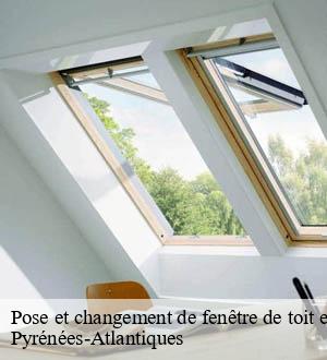 Pose et changement de fenêtre de toit et Velux