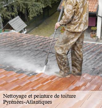 Nettoyage et peinture de toiture