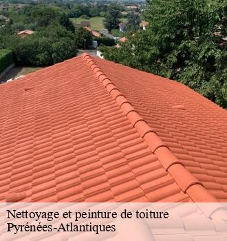 Nettoyage et peinture de toiture