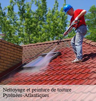 Nettoyage et peinture de toiture
