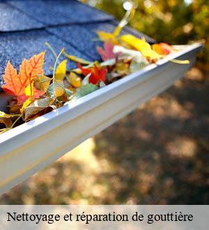Nettoyage et réparation de gouttière
