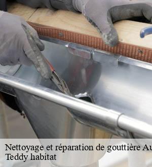 Nettoyage et réparation de gouttière