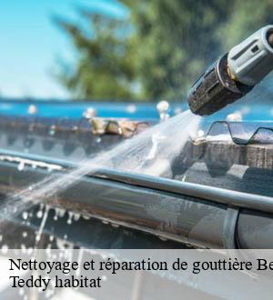 Nettoyage et réparation de gouttière