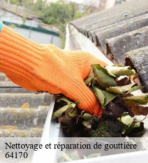 Nettoyage et réparation de gouttière