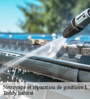 Nettoyage et réparation de gouttière