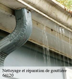 Nettoyage et réparation de gouttière