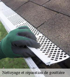 Nettoyage et réparation de gouttière