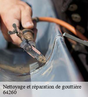 Nettoyage et réparation de gouttière
