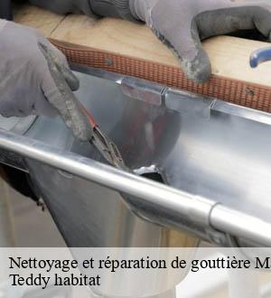 Nettoyage et réparation de gouttière