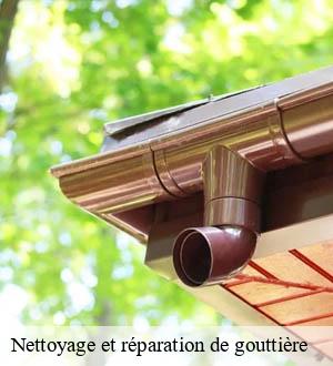 Nettoyage et réparation de gouttière