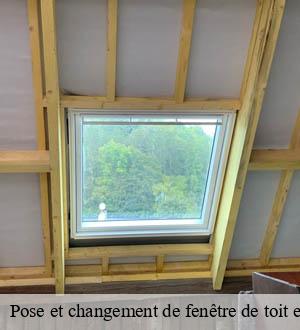 Pose et changement de fenêtre de toit et Velux