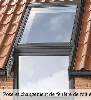 Pose et changement de fenêtre de toit et Velux