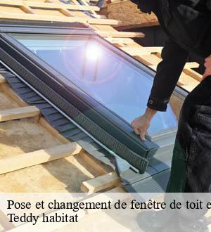 Pose et changement de fenêtre de toit et Velux