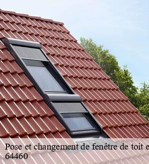 Pose et changement de fenêtre de toit et Velux