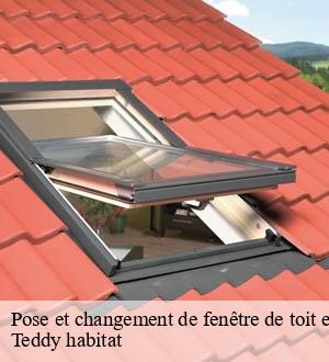 Pose et changement de fenêtre de toit et Velux