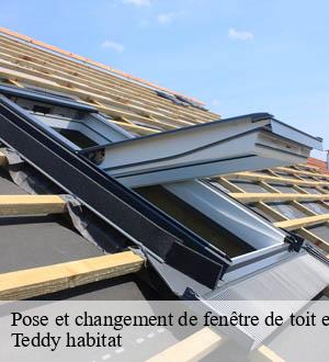 Pose et changement de fenêtre de toit et Velux