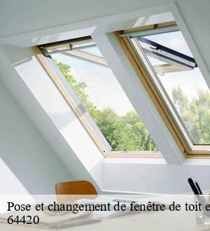 Pose et changement de fenêtre de toit et Velux