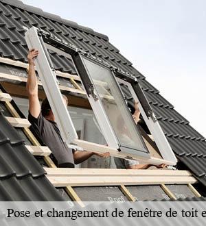 Pose et changement de fenêtre de toit et Velux