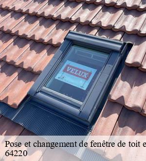 Pose et changement de fenêtre de toit et Velux