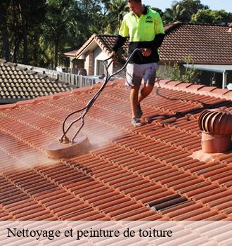 Nettoyage et peinture de toiture