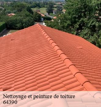 Nettoyage et peinture de toiture