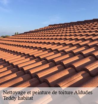 Nettoyage et peinture de toiture
