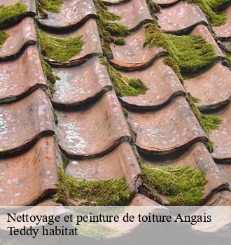 Nettoyage et peinture de toiture