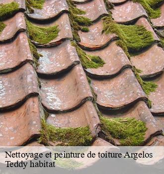 Nettoyage et peinture de toiture