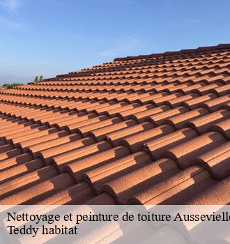Nettoyage et peinture de toiture