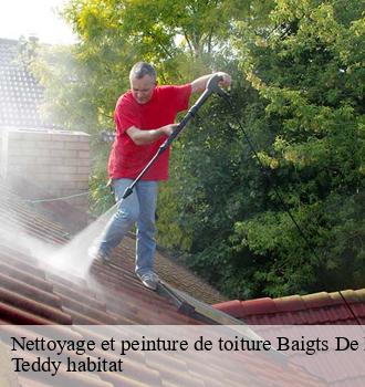 Nettoyage et peinture de toiture