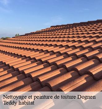 Nettoyage et peinture de toiture