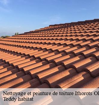 Nettoyage et peinture de toiture