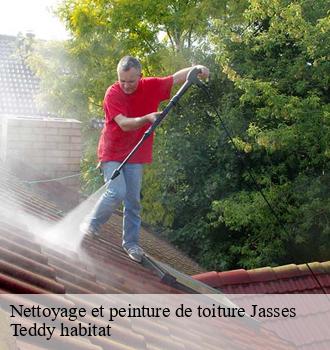 Nettoyage et peinture de toiture