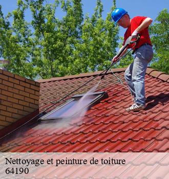 Nettoyage et peinture de toiture