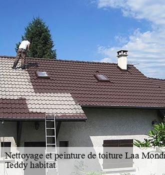 Nettoyage et peinture de toiture