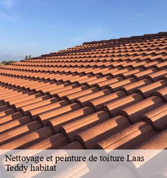 Nettoyage et peinture de toiture