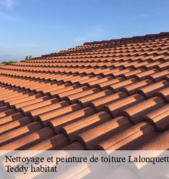 Nettoyage et peinture de toiture