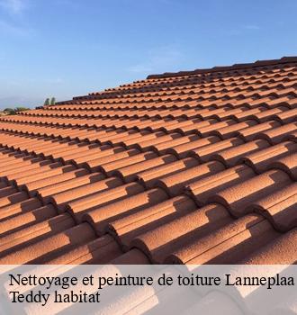 Nettoyage et peinture de toiture