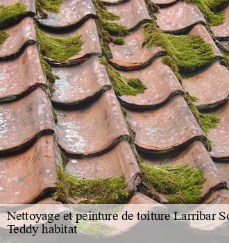 Nettoyage et peinture de toiture