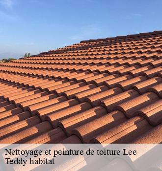 Nettoyage et peinture de toiture