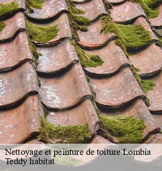 Nettoyage et peinture de toiture