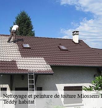 Nettoyage et peinture de toiture