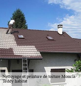 Nettoyage et peinture de toiture
