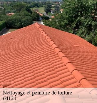 Nettoyage et peinture de toiture