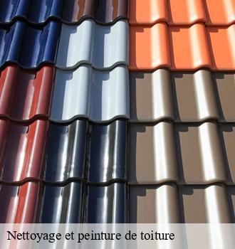 Nettoyage et peinture de toiture