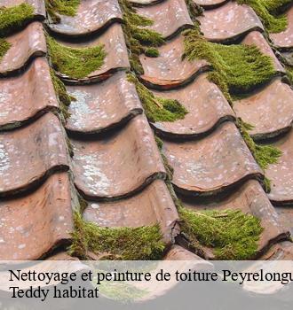 Nettoyage et peinture de toiture