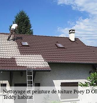 Nettoyage et peinture de toiture